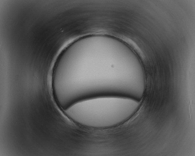 X0000088131424200705140948