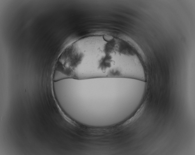 X0000088131425200705140948