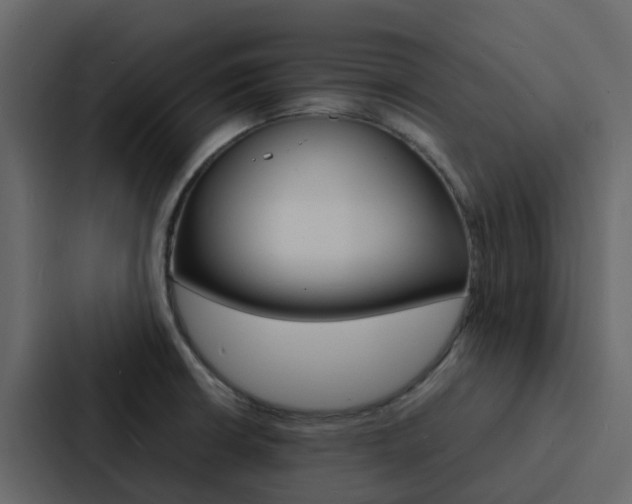 X0000088131426200705140948
