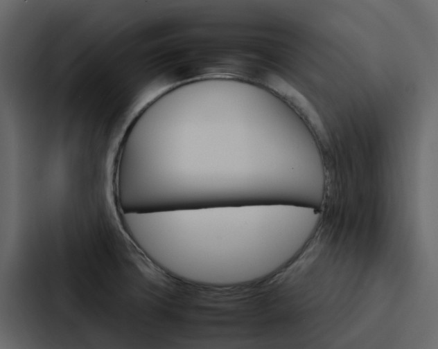 X0000088131427200705140948