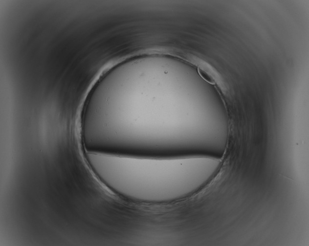 X0000088131428200705140948