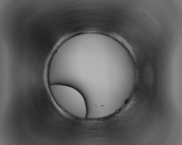 X0000088131429200705140948