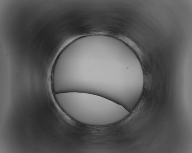 X0000088131431200705140948