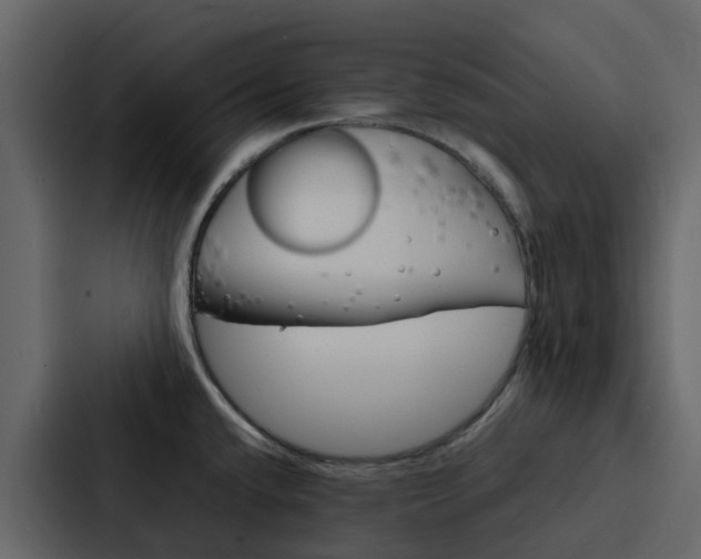X0000088131432200705140948