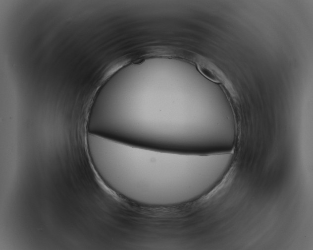 X0000088131433200705140948