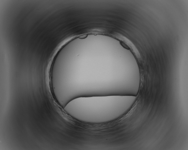 X0000088131435200705140948