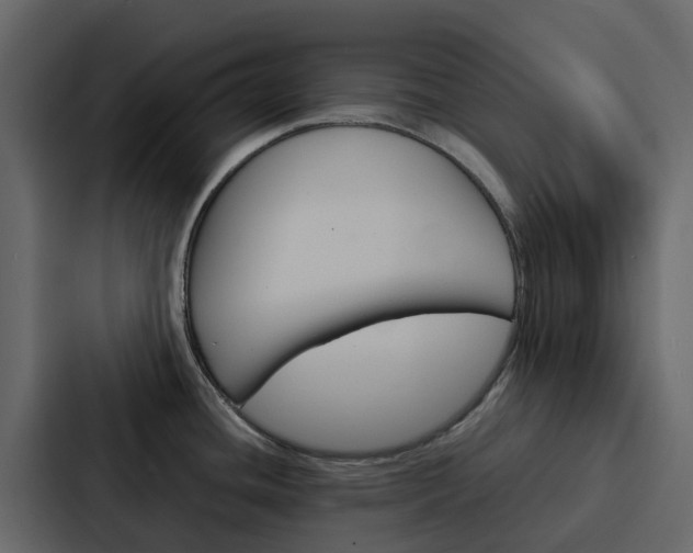 X0000088131436200705140948