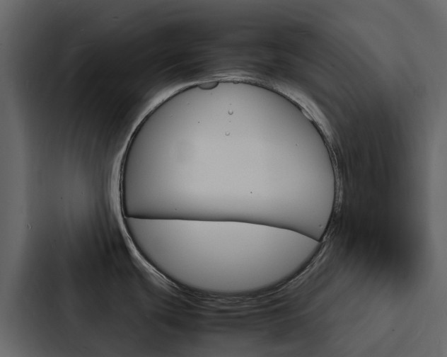 X0000088131439200705140948