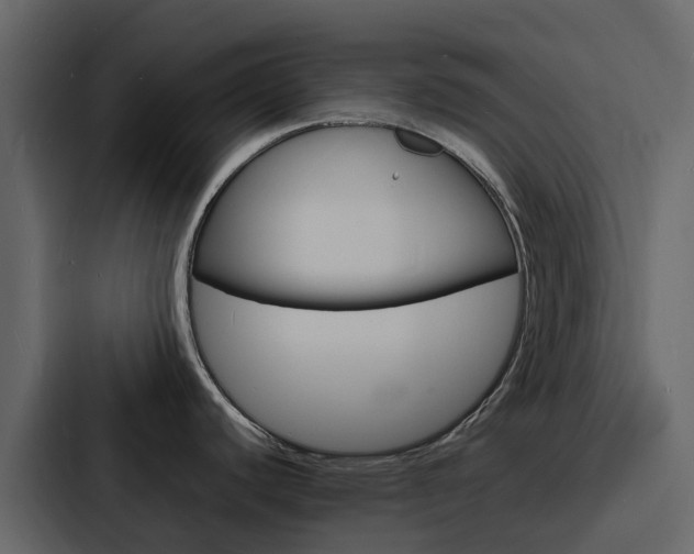 X0000088131440200705140948