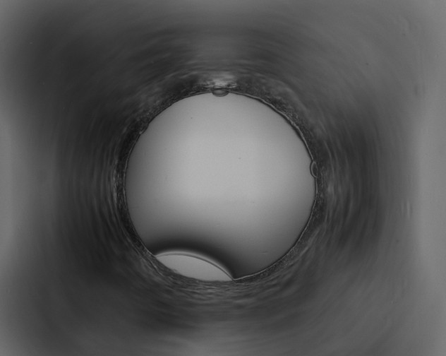 X0000088131442200705140948
