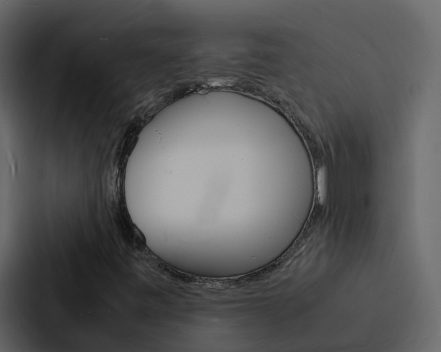 X0000088131443200705140948