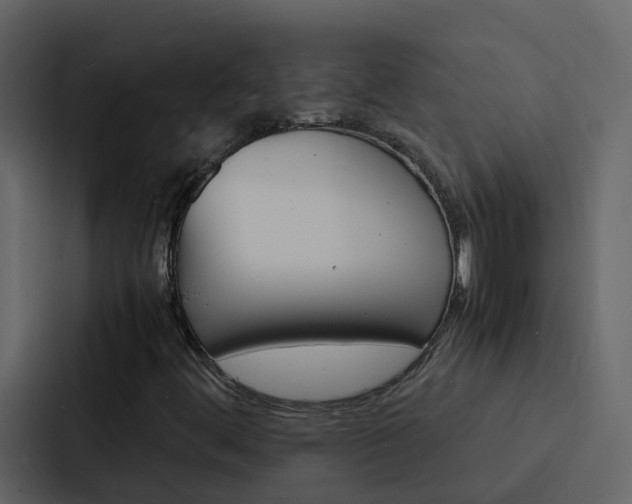 X0000088131444200705140948