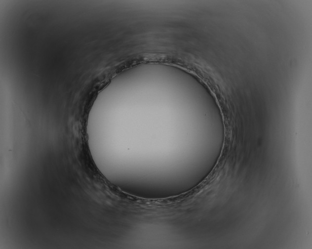 X0000088131445200705140948