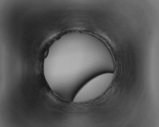 X0000088131448200705140948