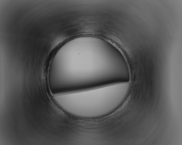X0000088131450200705140948