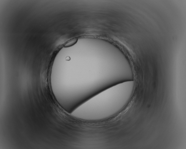 X0000088131451200705140948