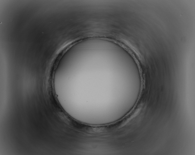 X0000088131453200705140947
