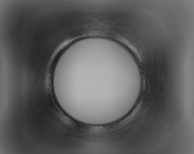X0000088131454200705140947