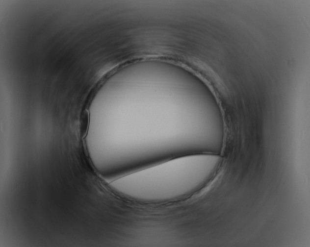 X0000088131457200705140947