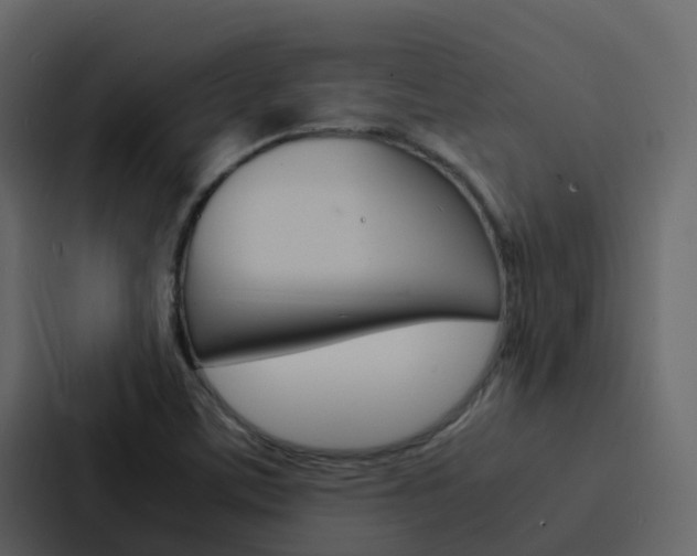 X0000088131459200705140947