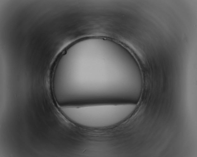 X0000088131460200705140947