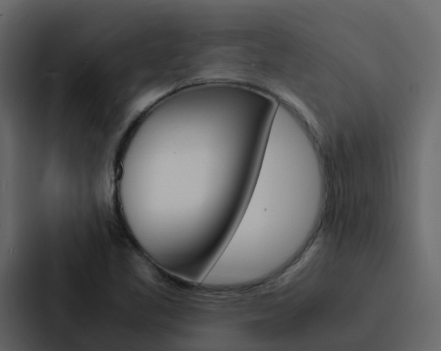 X0000088131461200705140947