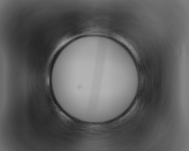 X0000088131462200705140947