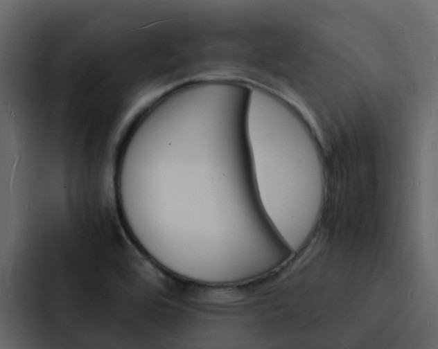 X0000088131464200705140947