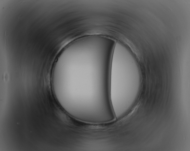 X0000088131465200705140947