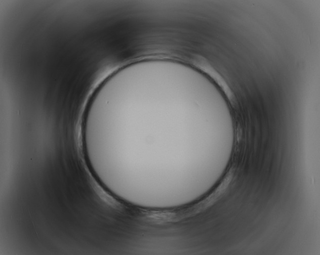 X0000088131466200705140947