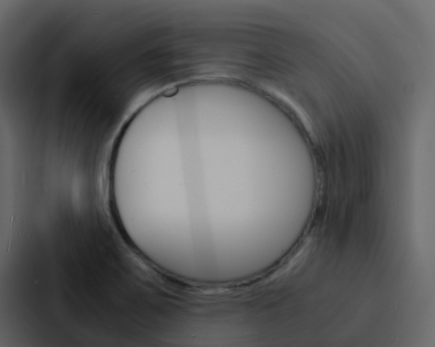 X0000088131467200705140947
