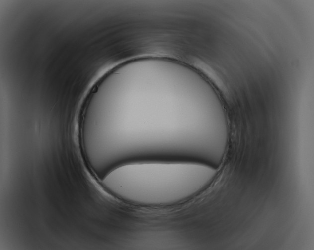 X0000088131468200705140947