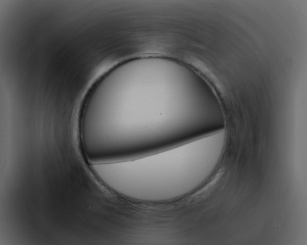 X0000088131469200705140947