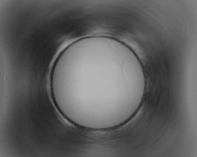 X0000088131470200705140947