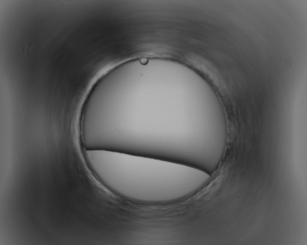 X0000088131471200705140947
