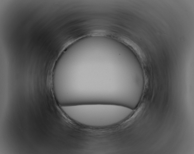 X0000088131473200705140947