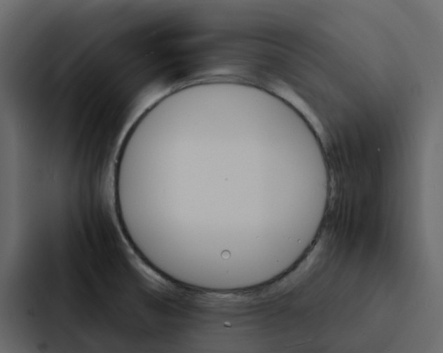 X0000088131474200705140947