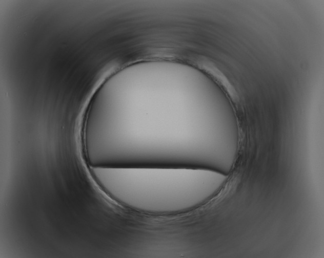 X0000088131475200705140947