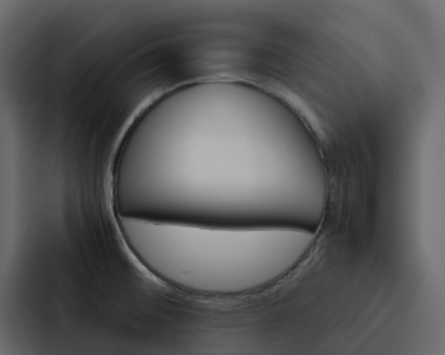 X0000088131476200705140947