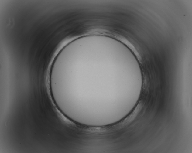 X0000088131478200705140947