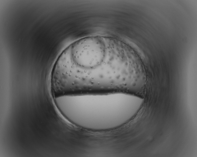 X0000088131479200705140947