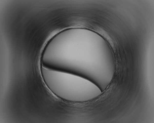 X0000088131480200705140947