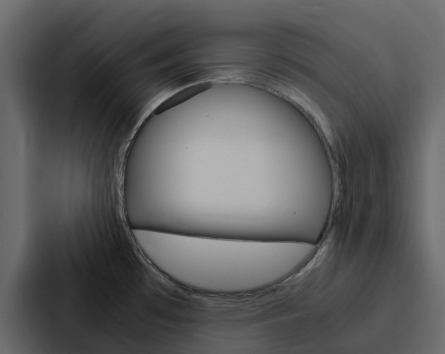X0000088131481200705140947