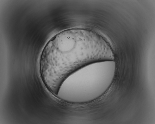 X0000088131483200705140947