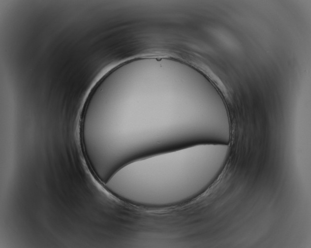 X0000088131484200705140947
