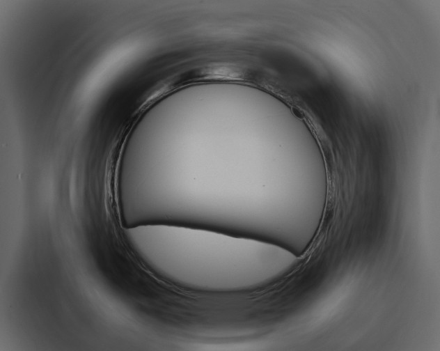 X0000088131487200705140947