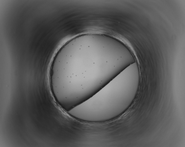 X0000088131488200705140947