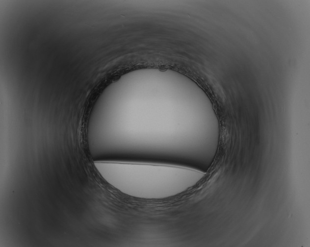X0000088131490200705140946