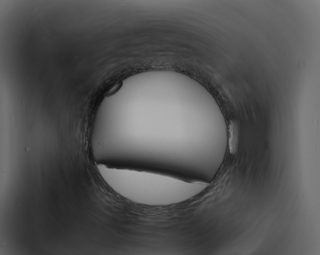 X0000088131491200705140946