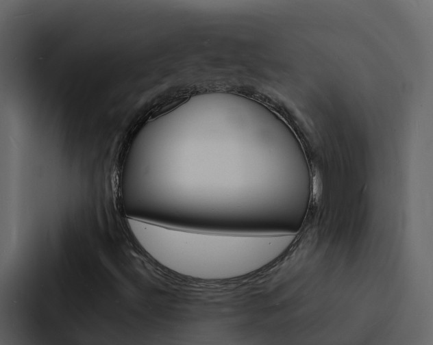 X0000088131492200705140946